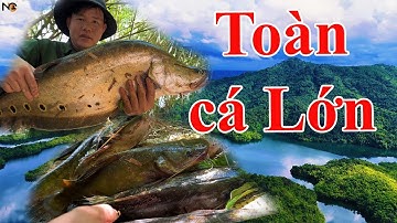 5 ngày trên Đảo Hoang ngày mưa bão dính toàn cá lớn
