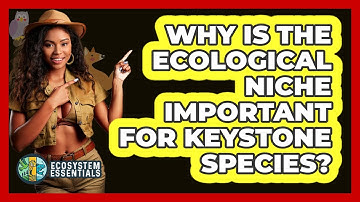 Why Is The Ecological Niche Important For Keystone Species? - Ecosystem Essentials