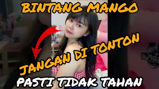 Bintang Mango Livekuda Poni