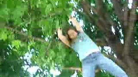 kara tree