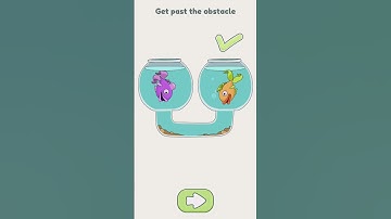 DOP=4 Level 503 juber boy