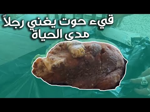 فيديو: أي حوت يحتوي على العنبر؟