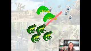 AP Bio Topic 8.5 Community Ecology Part 1: Competition, Niche Partitioning, Predator Prey