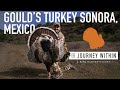 World turkey slam goulds turkey sonora mexico  mark v peterson hunting