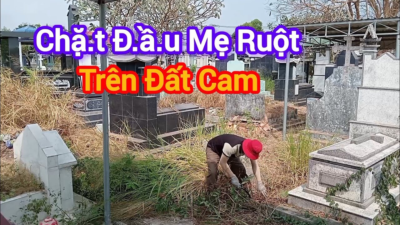 Ly Kỳ CÂU CHUYỆN CH.Ặ.T Đ.ẦU MẸ RUỘT TRÊN ĐẤT CAM - chuyện tâm linh 