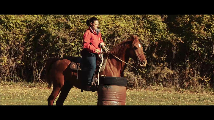 Westernerlebnis Monte Amiata - Westernreiten mit PFERD & REITER