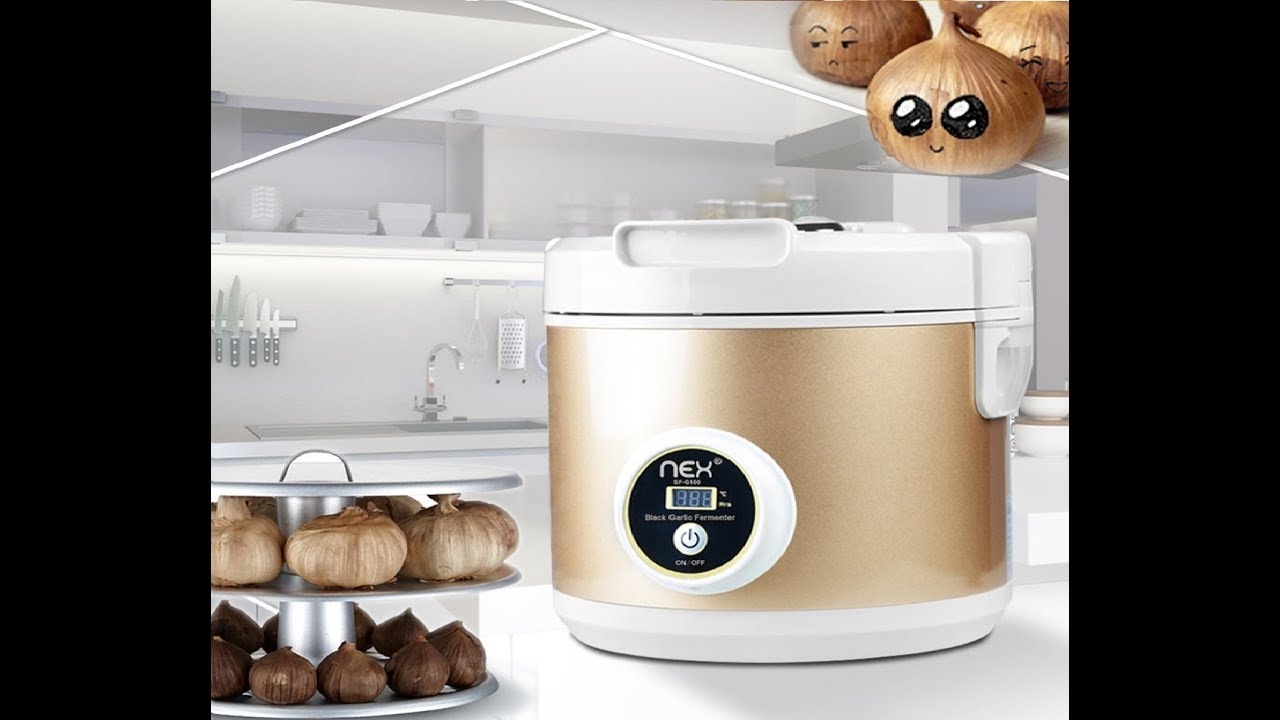 NEX Black Garlic Fermenter