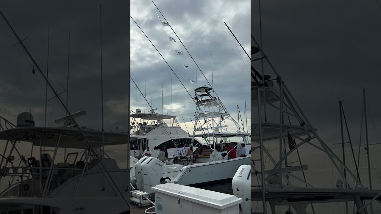 A look back at the 2026 Carolina Billfish Classic