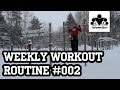 Weekly Workout Routine #002 - Beginner - Back-Biceps (from MadBarz.com)