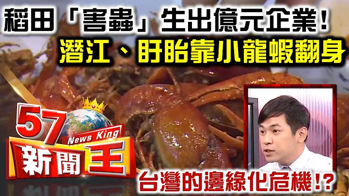 一隻稻田「害蟲」生出億元企業！ 潛江、盱眙靠小龍蝦翻身 - 余健源《５７新聞王》精華篇 - 天天要聞