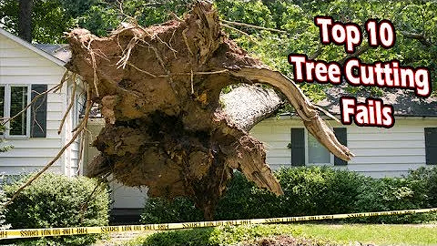 top 10 tree cutting fails (chopping down trees the wrong way)