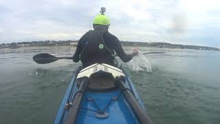 20190721_夏にウェットスーツ