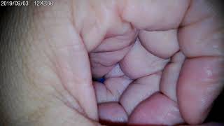 Instant Autofocus Demo