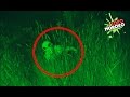 Aliens Reales que Fueron Captados en Video | Top DeToxoMoroxo