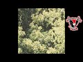 Sadness Circle of Veins Full Album 2019 USA mp3