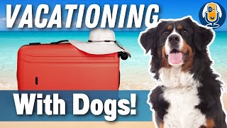 Car Vacations With Dogs: Tips To Make Holiday Road Trips Safe And Fun For All #154 #podcast