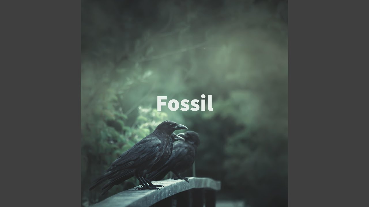 Watch Fossil on YouTube Watch Fossil on YouTube
