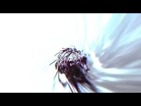NESVOY - Не вернуть