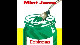 Casiopea - Tears Of The Star (Mint Jams, 1982) [Glitchless]