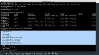 Docker Images - Running, Updating, Committing and Sharing images on Docker Hub