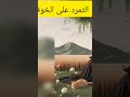 التمرد على الخوف الزاوية ليست قد ري أنا خلقت للوقوف لا للانحناء إدارة الوقت العظماء إنتاجية