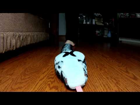 Stuffed Snake Trample
