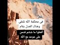 غدا في محكمه الله نلتقي