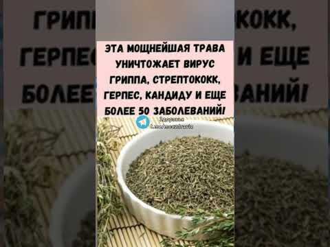 мощная трава более чем от 50 заболеваний #полезныесоветы #здоровье #зож #медицина