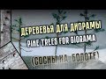 Дерево для диорамы (Сосна на болоте)/ Trees for diorama (Pine Trees )