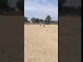 VID 20190424 120143
