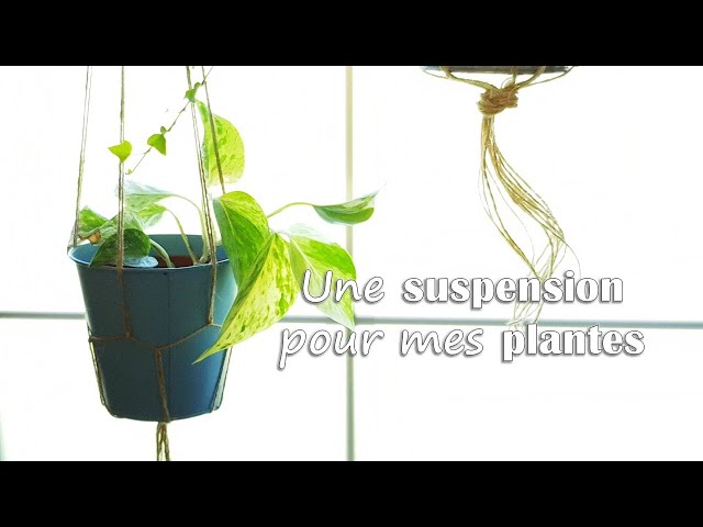 DIY suspension pour plantes : 12 idées géniales pour en fabriquer une !