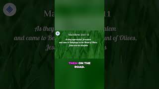 Why were they shouting 'Hosanna'? 🤔 Dive into the triumph of Palm Sunday! 🌿 #PalmSunday #Jesus