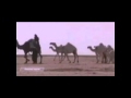 المجاهيم حمد الشافي المري رد على من يقول المجاهيم مافيها طراه