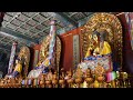 Fascinating Buddhist temples in China