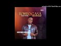 Zvidzidzo Romeo Gasa