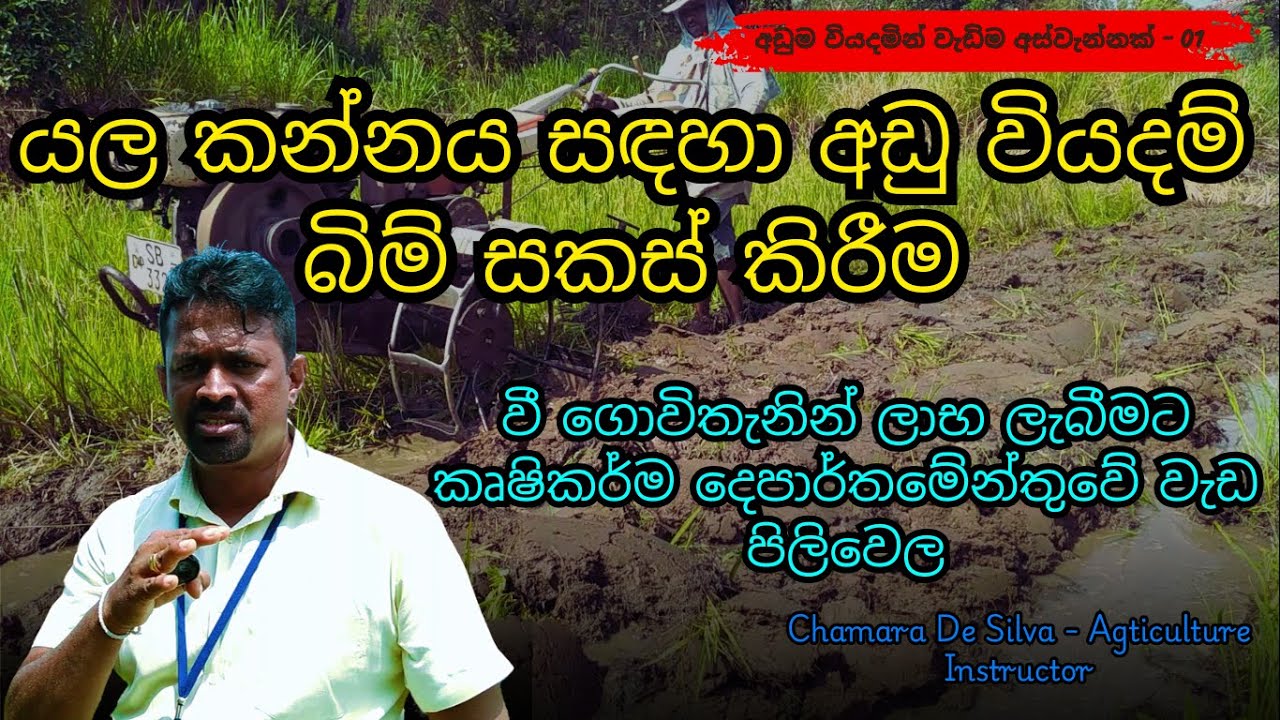 යල් කන්නයේ වී වගාව: අඩු වියදමින් වැඩි අස්වැන්නකට නිවැරදිව බිම් සකස් කරමු