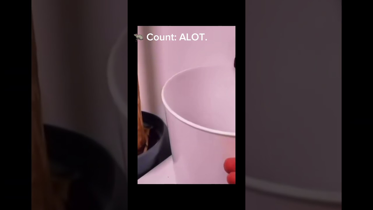 A whole colony.. 😰 #funny #memes