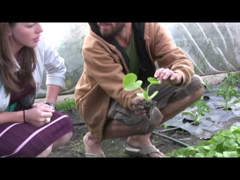 Video: Pacific Northwest Gardening: Washington İçin Mart Dikim Rehberi
