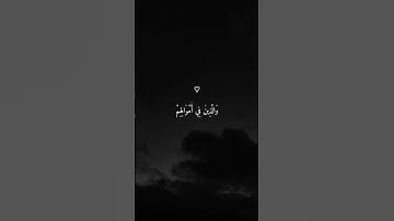 تلاوة خاشعة جميلة بصوت ماهر المعيقلي ارح سمعك ♡♡