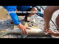 River Fishing at Sunkoshi River, Nepal/ River Fishing Nepal.