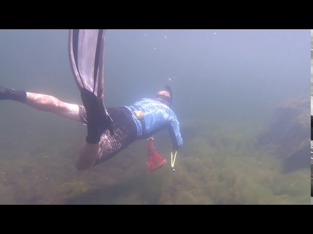 Part 2 - Spearfishing on the Coquille River with ODFW 