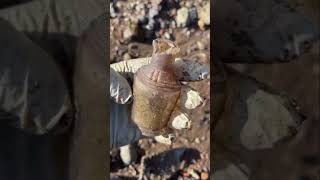 Forgotten Thames Bottle