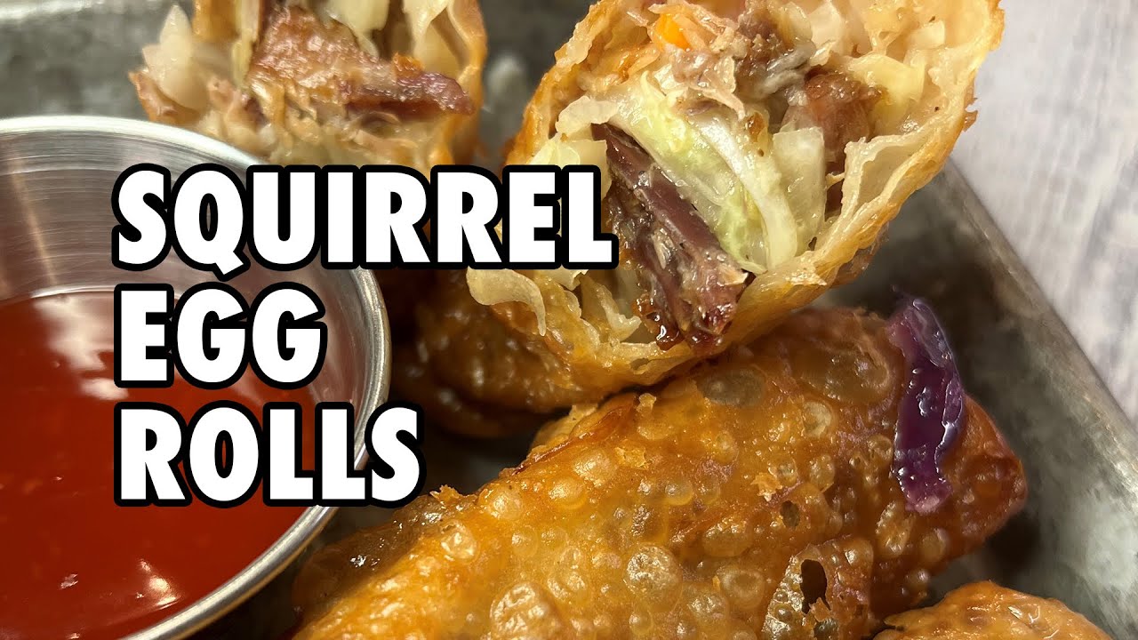 Squirrel Egg Rolls YouTube