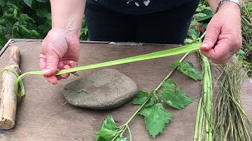 Nettle Cordage; Elaine Lindsay