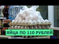 Цены на яйца: от 84 до 110 рублей за десяток