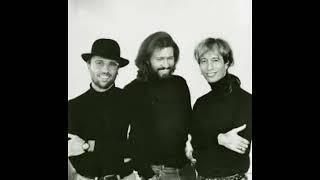 Video thumbnail of "The Bee Gees, Secret love live! | High Civilization tour 1991"