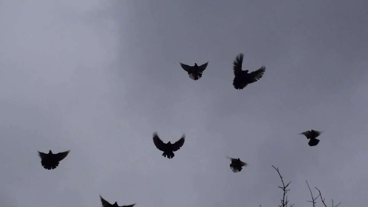 Лучше помолчать, пока нечего сказать. - YouTube