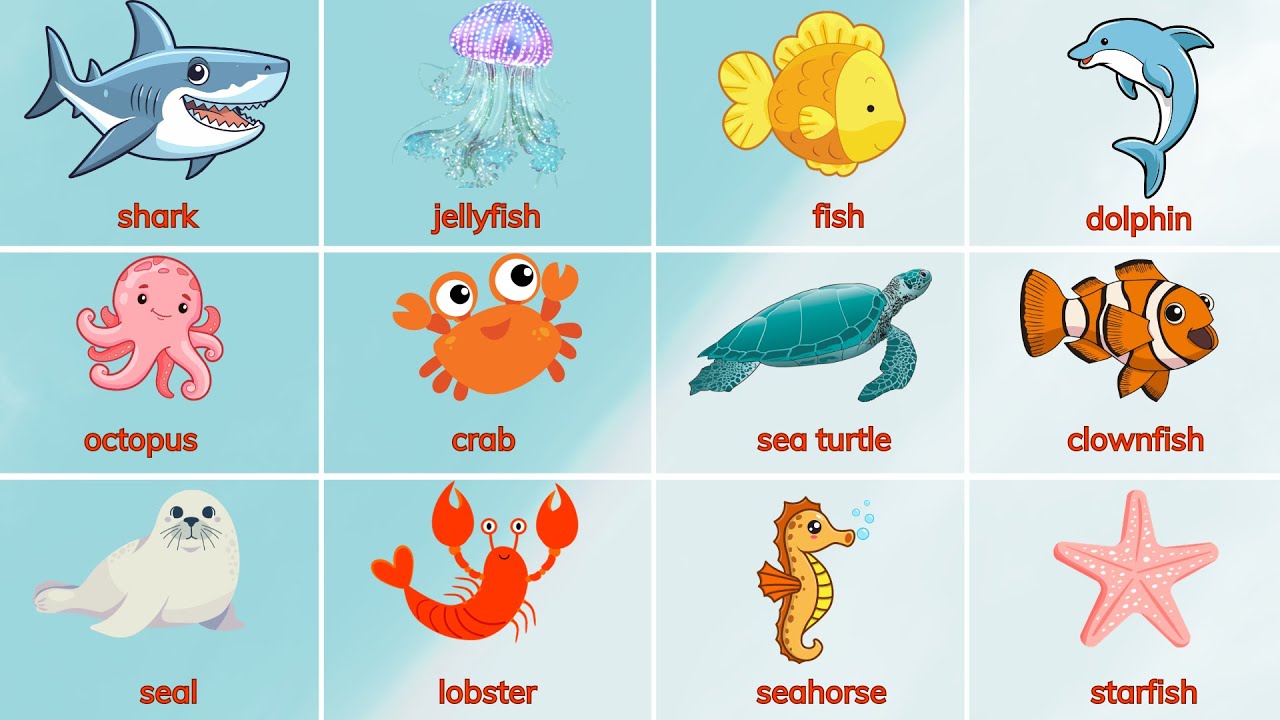 Khám phá Đại dương - Gọi tên các loại Động vật dưới biển | Ocean & Sea Animals | Oh Vui Kids