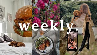 weekly | Wielkanoc • tofuburgery • wiosna 🌸🐶🍔