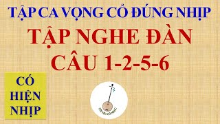 Bài 34: Tập nghe đàn câu 1-2-5-6